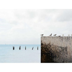 Fantastic Plastic Shoes fr-FR